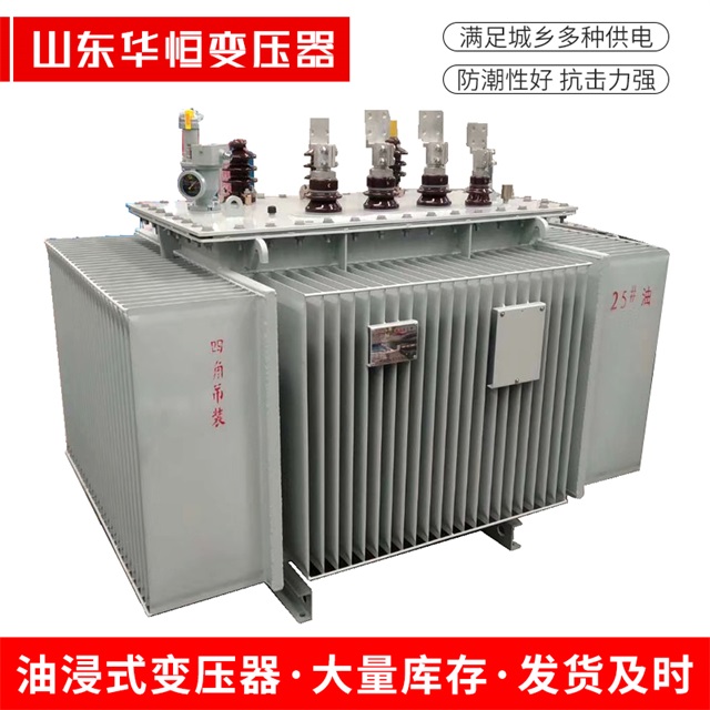 S13-10000/35鲁甸鲁甸鲁甸电力变压器厂家