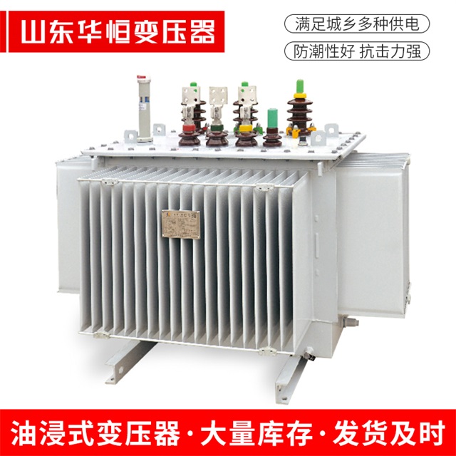 S13-10000/35鲁甸鲁甸鲁甸电力变压器
